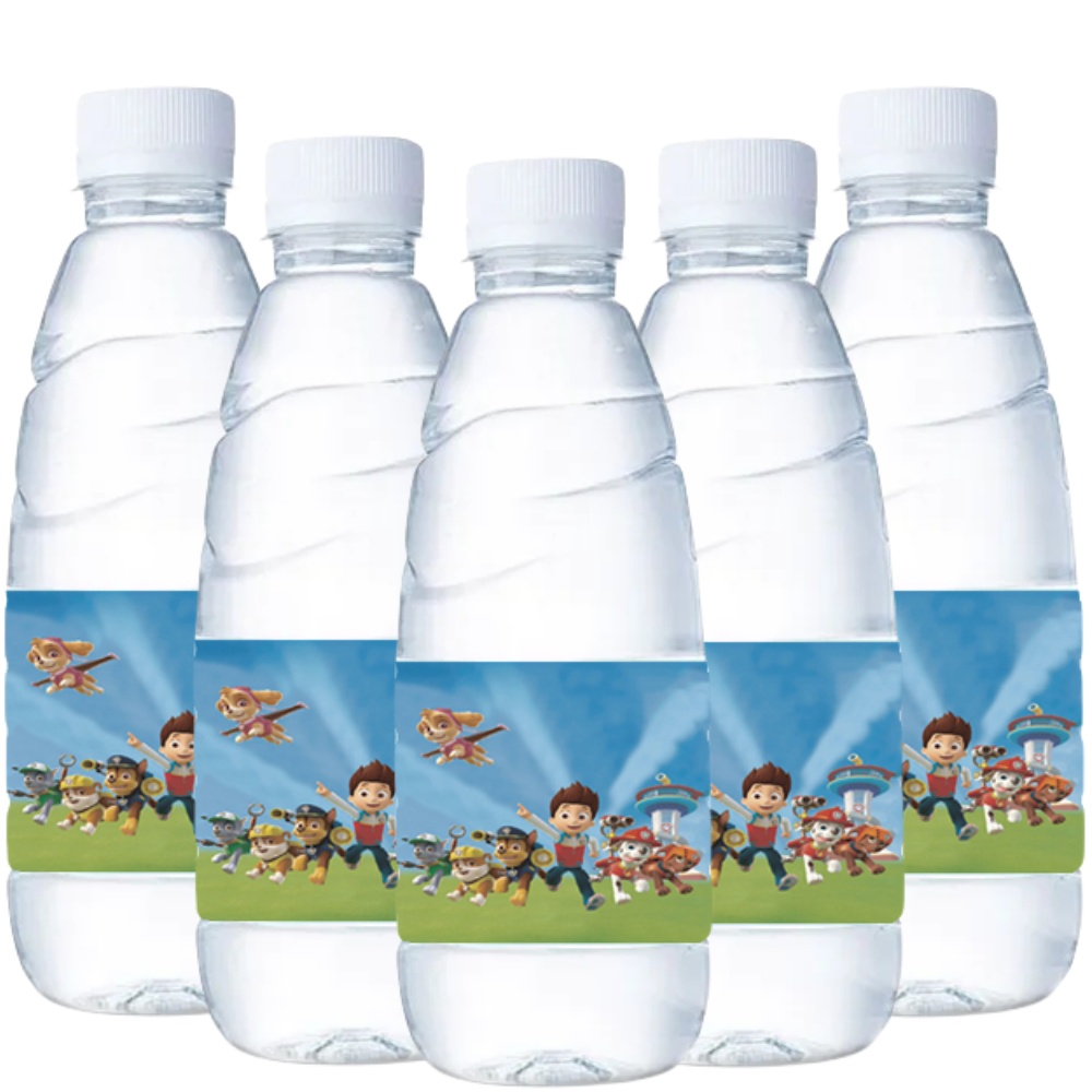 Paw Patrol Water Bottle Labels - Candy Sour Strip 评论和价格